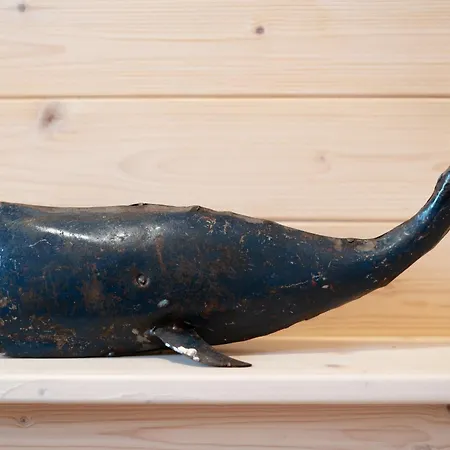 Bateau-hôtel Hausboot Coworkingship Burgtiefe auf Fehmarn